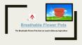 Breathable Flower Pots - Rechsand PowerPoint PPT Presentation