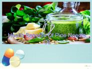 Health Benefits Of Pine Needle Oil