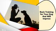 Basic Training for Your Dog that Will Impress