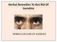 Jaundice Treatment with jaundinill capsule hashmi PowerPoint PPT Presentation