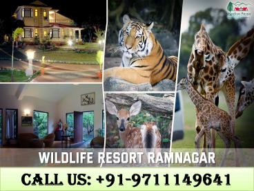 Wildlife Resort Ramnagar