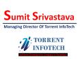 Sumit srivastava Torrent Infotech PowerPoint PPT Presentation