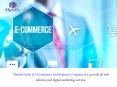 How to pick An Ecommerce Development Agency - Matebiz India PowerPoint PPT Presentation