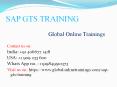 SAP GTS Training | SAP Global Trade Services Online Training PowerPoint PPT Presentation