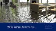 Water Damage Removal Tips
