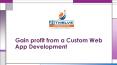 How can you gain profit from a custom web application development PowerPoint PPT Presentation