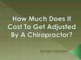 How Much Does It Cost To Get Adjusted By A Chiropractor? PowerPoint PPT Presentation