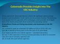 Colonnade Provides Insight Into The VSC Industry PowerPoint PPT Presentation