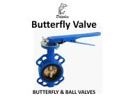 Butterfly Valve