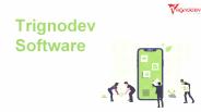 Trignodev : leading It Company