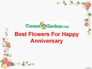 Flowers Wedding Anniversary