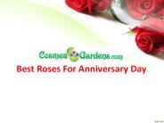 Wedding Anniversary Bouquets