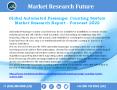 Automated Passenger Counting System Market with Focus on Current and Future Plans 2022 PowerPoint PPT Presentation