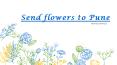Bloomsvilla for Prompt Send Flowers to Pune City PowerPoint PPT Presentation