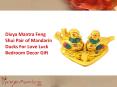 Feng Shui Pair of Mandarin Ducks For Love Luck Bedroom Decor Gift PowerPoint PPT Presentation