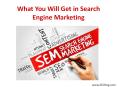What You Will Get in Search Engine Marketing PowerPoint PPT Presentation