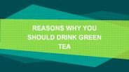 REASONS WHY YOU SHOULD DRINK GREEN TEA