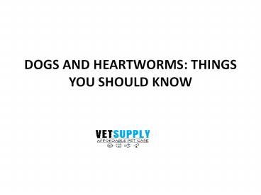 DOGS AND HEARTWORMS: THINGS YOU SHOULD KNOW