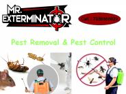 Pest Removal & Pest Control Company | Mr. Exterminator