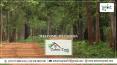 Tadoba Trails - Best resort in Tadoba near Moharli Gate PowerPoint PPT Presentation