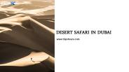 Everything you need to know about Desert Safari