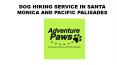 Dog Hiking Service Pacific Palisades-Adventure Paws PowerPoint PPT Presentation
