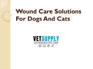 Wound Care Solutions For Dogs And Cats