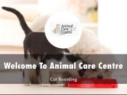 Animal Care Centre Presentation 