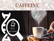 Caffeine - Effect On Weight Loss And Exercise