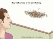 How to Remove Mold from Ceiling (1)