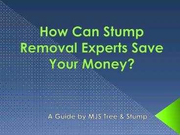 intnlceramicsHow Can Stump Removal Experts Save Your Money?