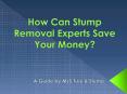 intnlceramicsHow Can Stump Removal Experts Save Your Money? PowerPoint PPT Presentation