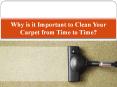 Why is it Important to Clean Your Carpet from Time to Time? PowerPoint PPT Presentation