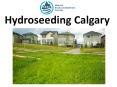 Hydroseeding Calgary PowerPoint PPT Presentation