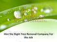 Hire the Right Tree Removal Company For the Job PowerPoint PPT Presentation