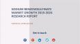 Sodium Benzenesulfinate Market Growth 2019-2024 Research Report PowerPoint PPT Presentation
