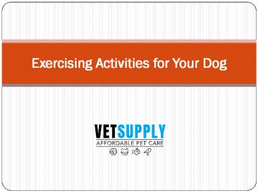 Exercising Activities for Your pets