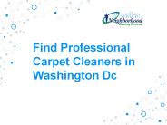 Find Professional Carpet Cleaners in Washington DC