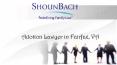 Best Adoption Lawyer in Fairfax, VA PowerPoint PPT Presentation