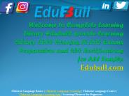 Chinese Language Learning App