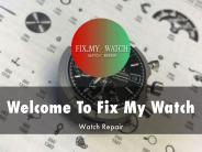 Information Presentation Of Fix My Watch