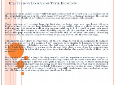 Exactly how Dogs Show Their Emotions