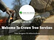 Detail Presentation About Crown Tree Services