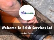 Detail Presentation About Brisk Services Ltd