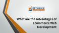 What are the Advantages of Ecommerce Web Development PowerPoint PPT Presentation