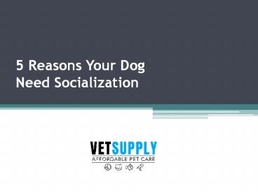 5 Reasons Your Dog Need Socialization