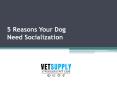 5 Reasons Your Dog Need Socialization PowerPoint PPT Presentation