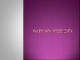 wadhwa wise city PowerPoint PPT Presentation