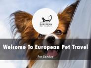European Pet Travel Presentation
