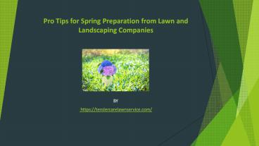 Landscaping Lake Charles